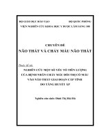 NGHIÊN cứu một số yếu tố TIÊN LƯỢNG của BỆNH NHÂN CHẢY máu đồi THỊ có máu vào não THẤT GIAI đoạn cấp TÍNH DO TĂNG HUYẾT áp 