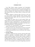 The study on characteristics of  the image and value of  ultrasound, computed tomography in the diagnosis and follow up of hepatobiliary f 