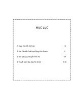 Báo cáo tài chính công ty mẹ quý 4 năm 2010 - Công ty Cổ phần Khoáng sản và Vật liệu xây dựng Lâm Đồng