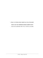 Báo cáo tài chính năm 2009 (đã kiểm toán) - Công ty Cổ phần Phát triển Hạ tầng Vĩnh Phúc