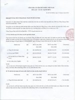 Báo cáo tài chính hợp nhất năm 2009 (đã kiểm toán) - Tổng Công ty Phát triển Đô thị Kinh Bắc-CTCP