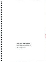 Báo cáo tài chính công ty mẹ quý 2 năm 2011 (đã soát xét) - Công ty Cổ phần Tập đoàn Kido