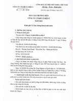 Báo cáo thường niên năm 2012 - CTCP Khí cụ Điện 1