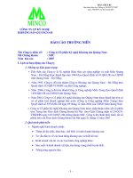 Báo cáo thường niên năm 2007 - Công ty Cổ phần Kỹ nghệ Khoáng sản Quảng Nam