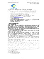 Báo cáo thường niên năm 2006 - Công ty Cổ phần Tập đoàn Thủy sản Minh Phú