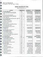 Báo cáo tài chính công ty mẹ quý 2 năm 2011 - Công ty Cổ phần Tập đoàn Kido