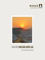 Báo cáo thường niên năm 2015 - Công ty cổ phần Tài nguyên Masan