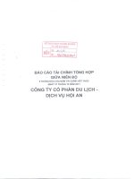 Báo cáo tài chính quý 2 năm 2011 (đã soát xét) - Công ty cổ phần Du lịch - Dịch vụ Hội An