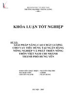 Luận văn giải pháp nâng cao chất lượng cho vay tiêu dùng tại ngân hàng nông nghiệp và phát triển nông thôn chi nhánh thành phố hưng yên 