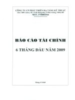 Báo cáo tài chính quý 2 năm 2009 - Công ty Cổ phần Phát triển Hạ tầng Kỹ thuật