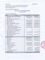 Báo cáo tài chính quý 3 năm 2009 - Công ty Cổ phần Đầu tư và Xây dựng BDC Việt Nam
