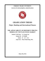 THE APPLICABILITY OF DIFFERENT PRICING MODELS ON VIETNAM STOCK MARKET 