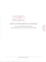 Báo cáo tài chính quý 2 năm 2011 (đã soát xét) - Công ty cổ phần Thiết bị Y tế Việt Nhật
