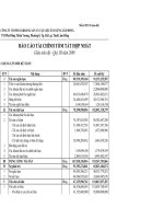Báo cáo tài chính quý 3 năm 2009 - Công ty Cổ phần Khoáng sản và Vật liệu xây dựng Lâm Đồng