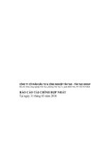 Báo cáo tài chính hợp nhất quý 1 năm 2010 - Công ty Cổ phần Đầu tư và Công nghiệp Tân Tạo