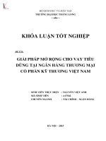 Luận văn giải pháp mở rộng cho vay tiêu dùng tại ngân hàng thương mại cổ phần kỹ thương việt nam 