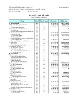 Báo cáo tài chính hợp nhất quý 4 năm 2010 - Công ty Cổ phần Someco Sông Đà