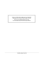 Báo cáo tài chính quý 2 năm 2011 (đã soát xét) - Công ty Cổ phần Phát triển Hạ tầng Vĩnh Phúc