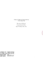 Báo cáo tài chính hợp nhất quý 3 năm 2015 - Công ty cổ phần Tài nguyên Masan