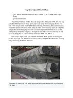 Tổng quan nghành thép việt nam2(1) 