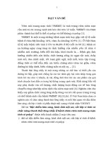 Đặc điểm lâm sàng, hình ảnh nội soi, cắt lớp vi tính và chức năng thanh thải lông nhầy ở bệnh nhân viêm mũi xoang mạn tính có polyp 