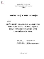 Luận văn hoàn thiện hoạt động marketing cho ngân hàng thương mại cổ phần công thương việt nam chi nhánh bắc ninh 