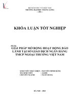 Luận văn giải pháp mở rộng hoạt động bảo lãnh tại sở giao dịch ngân hàng thương mại cổ phần ngoại thương việt nam 