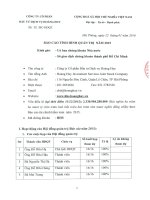 Báo cáo tình hình quản trị công ty - Công ty Cổ phần Đầu tư Dịch vụ Hoàng Huy