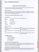 Báo cáo tài chính năm 2010 (đã kiểm toán) - Công ty cổ phần Chứng khoán Đầu tư Việt Nam