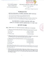 Nghị quyết Đại hội cổ đông thường niên - Công ty cổ phần Chứng khoán Đầu tư Việt Nam