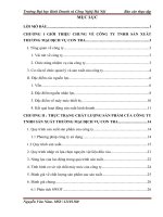 Một số giải pháp nâng cao chất lượng sản phẩm của công ty TNHH sản xuất thương mại dịch vụ con tra 