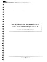 Báo cáo tài chính công ty mẹ năm 2010 (đã kiểm toán) - Công ty cổ phần Sản xuất - Xuất nhập khẩu Thanh Hà