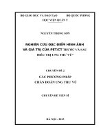 NGHIÊN cứu đặc điểm HÌNH ẢNH và GIÁ TRỊ của PETCT TRƯỚC và SAU điều TRỊ UNG THƯ vú 