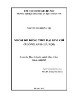 Nhóm đồ đồng thời đại kim khí ở đông anh (hà nội) 