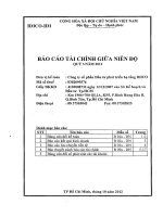 Báo cáo tài chính quý 3 năm 2012 - Công ty Cổ phần Đầu tư phát triển hạ tầng IDICO