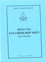 Báo cáo tài chính hợp nhất quý 4 năm 2014 - Công ty cổ phần LICOGI 16