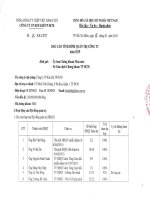 Báo cáo tình hình quản trị công ty - Công ty Cổ phần Kim khí Thành phố Hồ Chí Minh