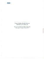 Báo cáo tài chính hợp nhất năm 2014 (đã kiểm toán) - Công ty Cổ phần Tập đoàn Thủy sản Minh Phú