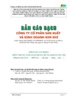 Bản cáo bạch - Công ty Cổ phần Sản xuất và Kinh doanh Kim khí