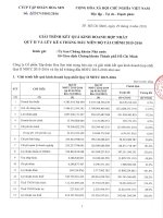 Báo cáo tài chính hợp nhất quý 2 năm 2016 - Công ty Cổ phần Tập đoàn Hoa Sen