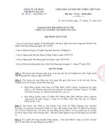 Nghị quyết Hội đồng Quản trị ngày 08-10-2010 - Công ty Cổ phần Tập đoàn MaSan