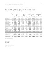 Báo cáo KQKD hợp nhất quý 4 năm 2010 - Công ty Cổ phần Thực phẩm Quốc tế