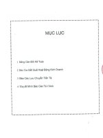 Báo cáo tài chính công ty mẹ quý 3 năm 2010 - Công ty Cổ phần Khoáng sản và Vật liệu xây dựng Lâm Đồng
