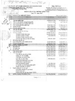 Báo cáo tài chính quý 4 năm 2007 - Công ty Cổ phần Kỹ nghệ Khoáng sản Quảng Nam