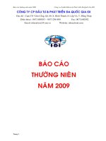 Báo cáo thường niên năm 2009 - Công ty Cổ phần Đầu tư và Phát triển Đa Quốc Gia I.D.I