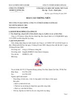 Báo cáo thường niên năm 2008 - Công ty Cổ phần Someco Sông Đà