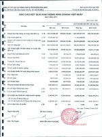 Báo cáo tài chính hợp nhất quý 4 năm 2011 - Công ty Cổ phần Vật tư tổng hợp và Phân bón Hóa sinh