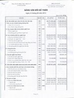 Báo cáo tài chính quý 1 năm 2013 - CTCP Dược phẩm 2-9 TP. Hồ Chí Minh