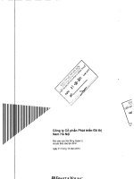 Báo cáo tài chính năm 2010 (đã kiểm toán) - Công ty cổ phần Phát triển Đô thị Nam Hà Nội