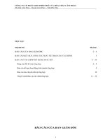 Báo cáo tài chính quý 2 năm 2012 (đã soát xét) - Công ty cổ phần Supe Phốt phát và Hóa chất Lâm Thao